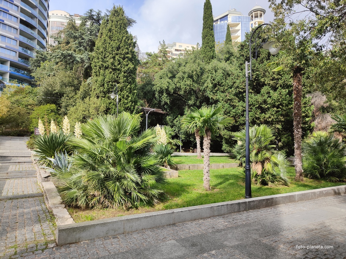 В Приморском парке имени Ю. А. Гагарина. Пальмовая аллея и "SPA-отель Зазеркалье».