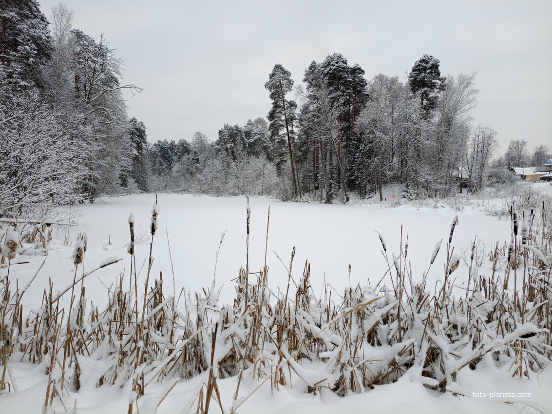 Пруд имени Лугинина.