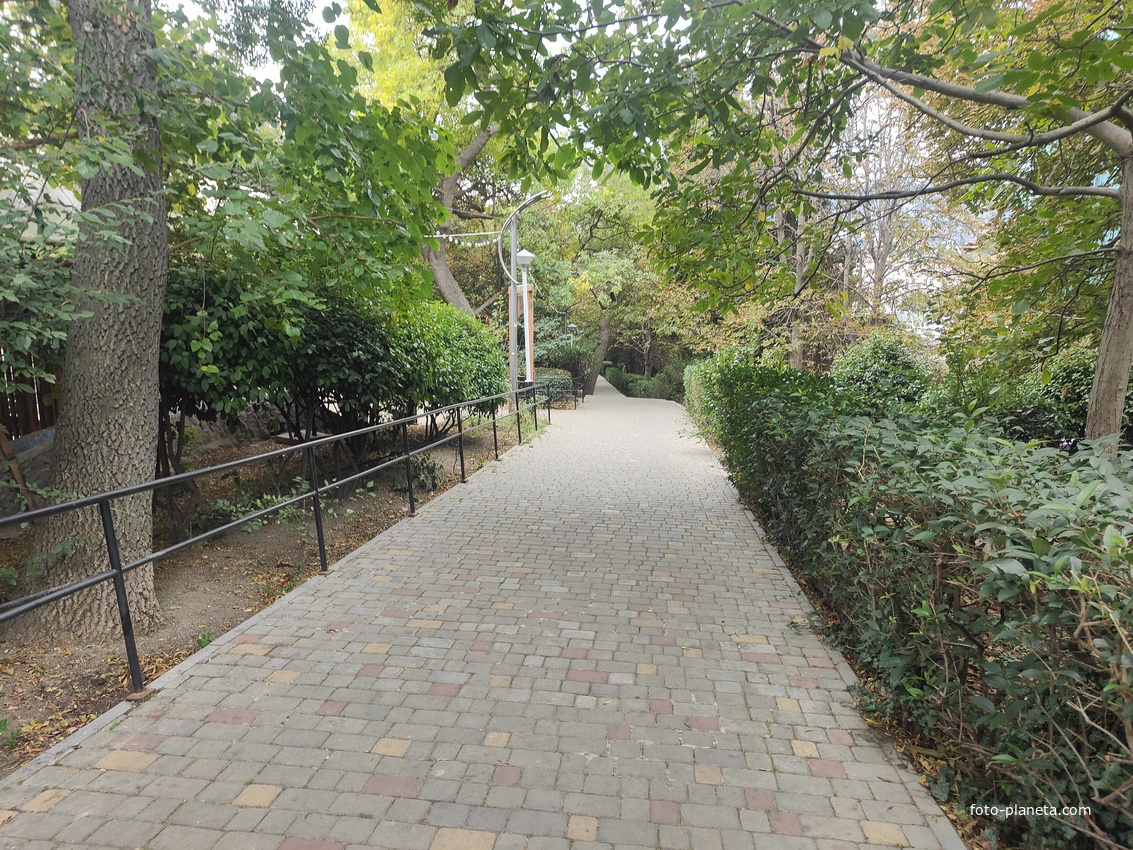 Аллея в сквере «Комсомолец».