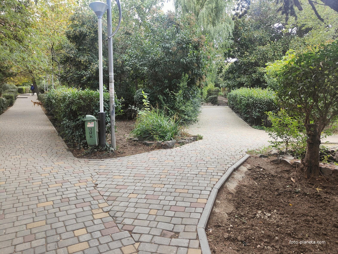 Аллеи в сквере «Комсомолец» (народное название «сквер Руданского»).