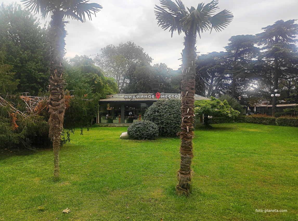 «Мидийное место» в сквере имени Калинина.