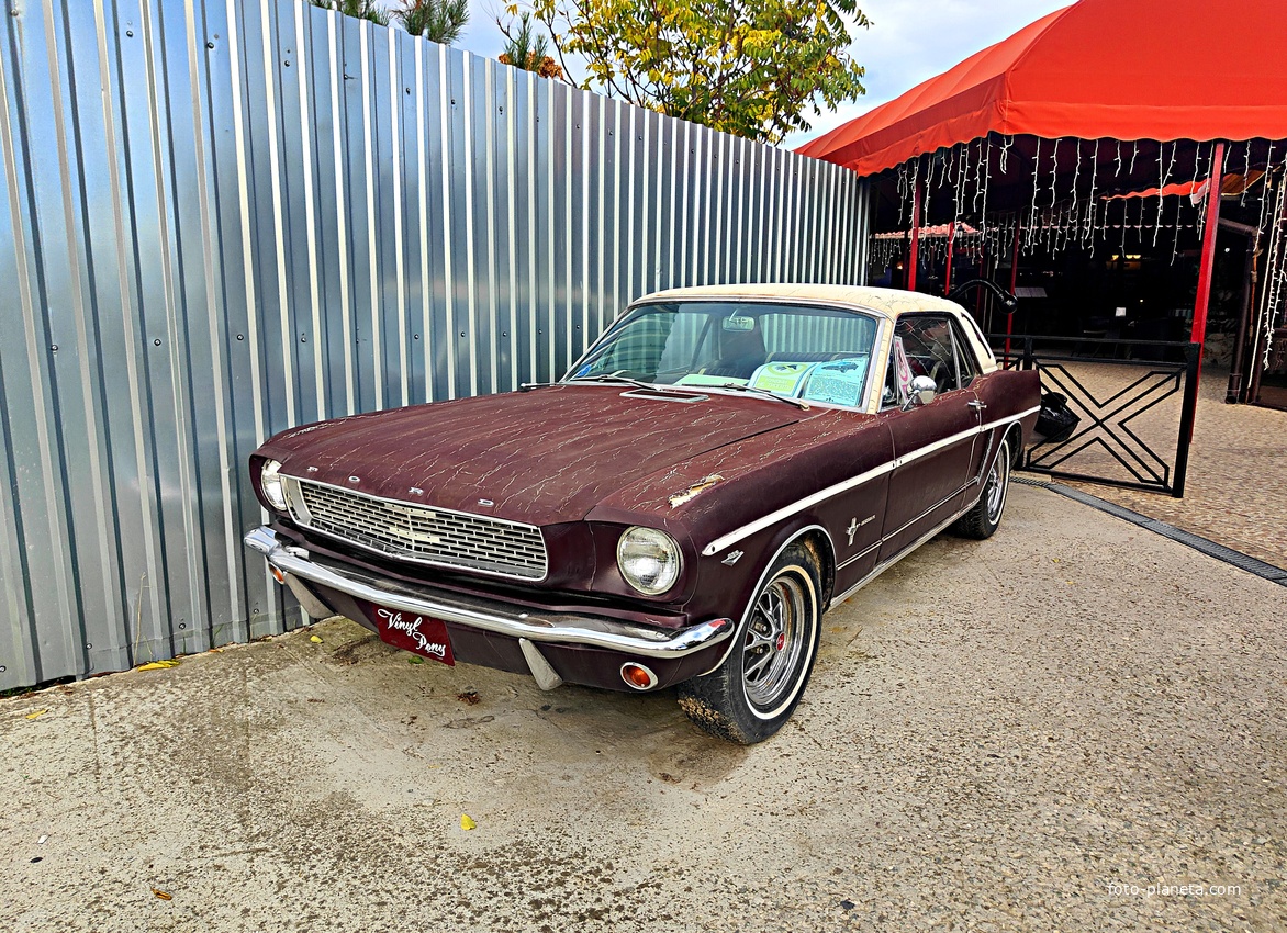 Музей автомобильного искусства возле верхней станции канатной дороги «Ялта — Горка».