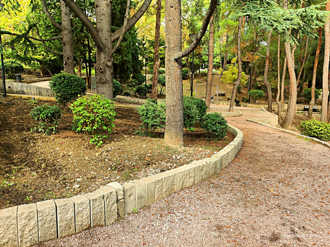 Сквер имени М. П. Чеховой.