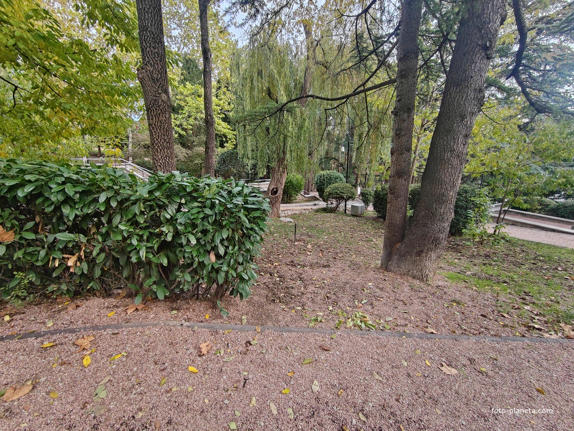 Сквер имени М. П. Чеховой.