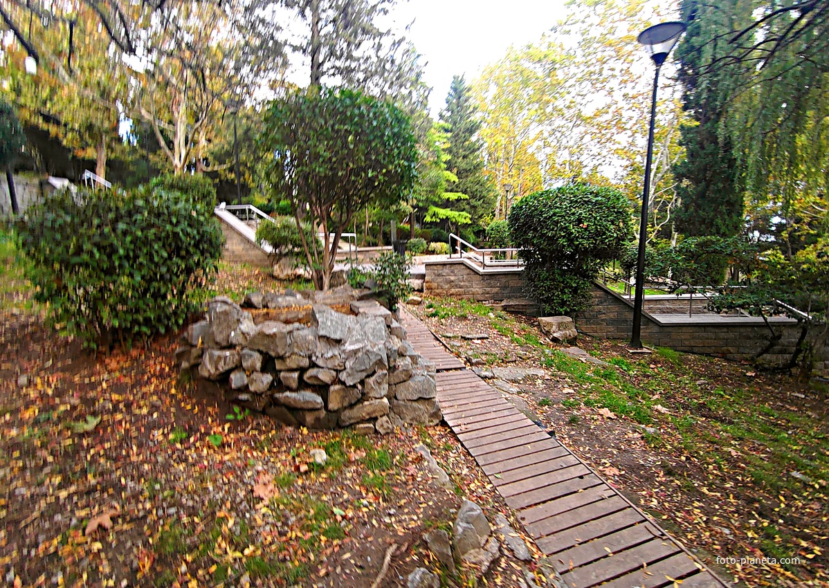 Сквер имени М. П. Чеховой.