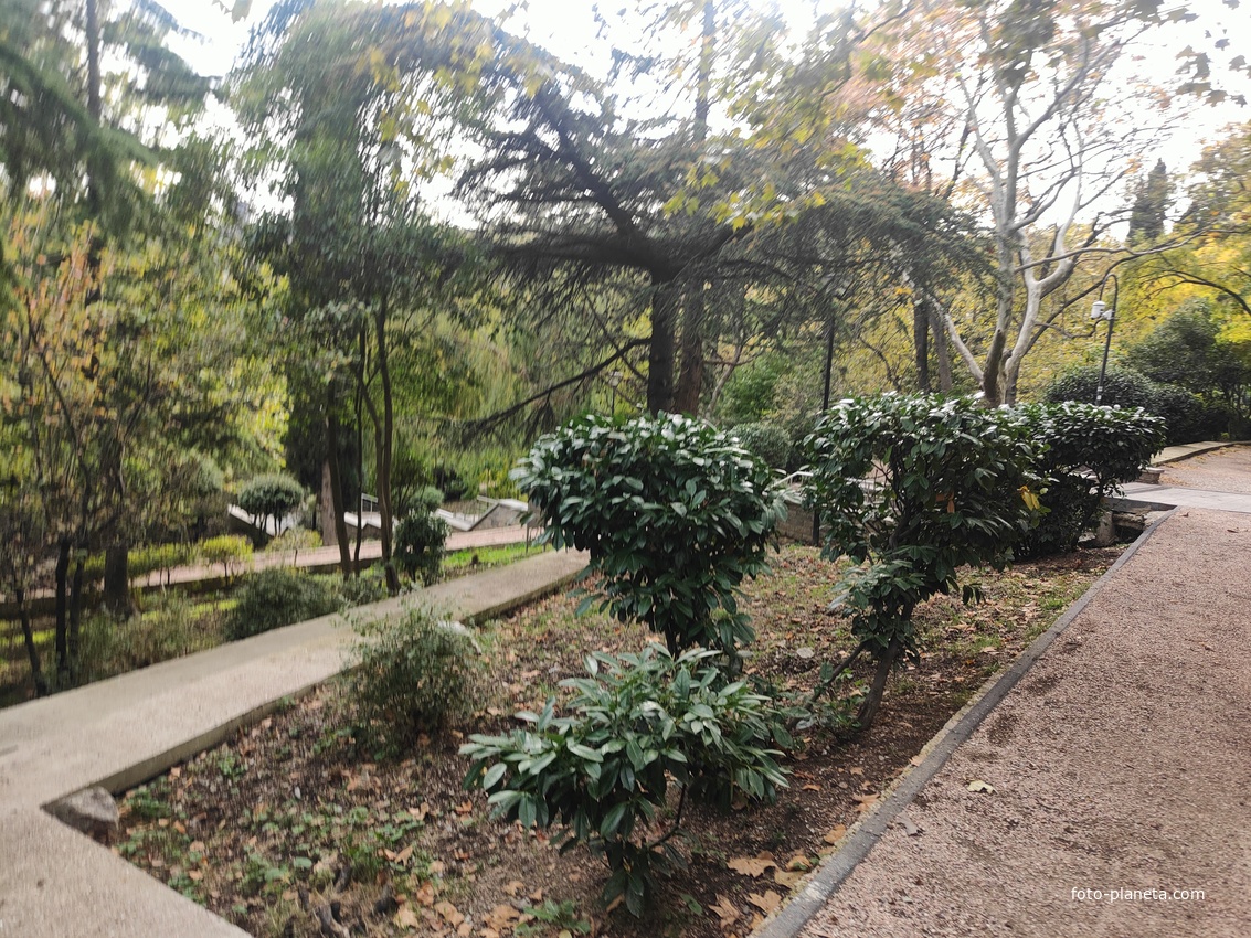 Сквер имени М. П. Чеховой.