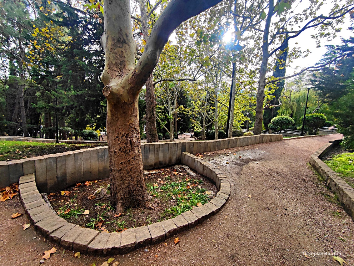 Сквер имени М. П. Чеховой.