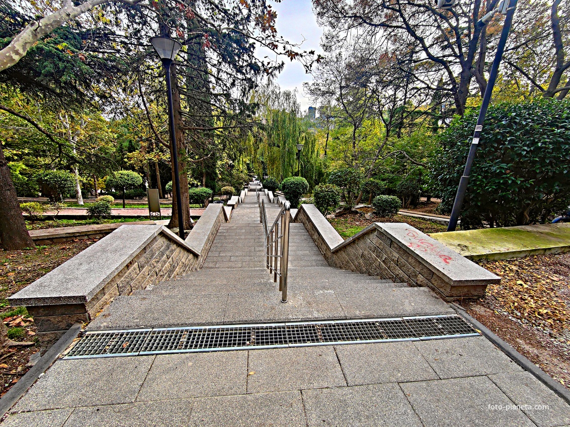 Сквер имени М. П. Чеховой.