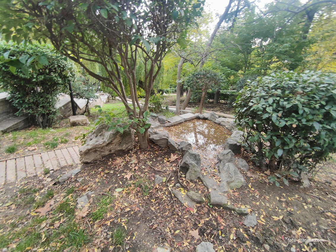 Сквер имени М. П. Чеховой.