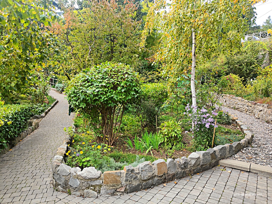 Сад Чехова возле «Белой дачи» - такая же достопримечательность, как и сам дом-музей. Создавался руками писателя, планировавшего его и проектировавшего по своему вкусу и концепции «вечной весны», чтобы почти круглогодично что-то цвело в саду.