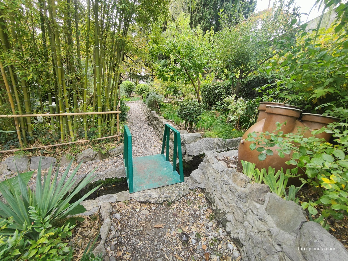 Сад Чехова возле «Белой дачи» - такая же достопримечательность, как и сам дом-музей. Создавался руками писателя, планировавшего его и проектировавшего по своему вкусу и концепции «вечной весны», чтобы почти круглогодично что-то цвело в саду.