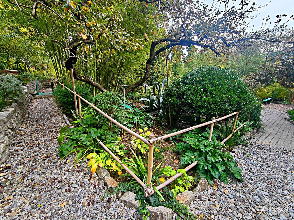 Сад Чехова возле «Белой дачи» - такая же достопримечательность, как и сам дом-музей. Создавался руками писателя, планировавшего его и проектировавшего по своему вкусу и концепции «вечной весны», чтобы почти круглогодично что-то цвело в саду.