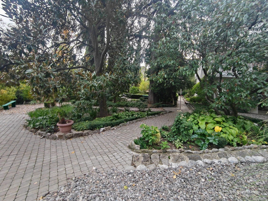 Сад Чехова возле «Белой дачи» - такая же достопримечательность, как и сам дом-музей. Создавался руками писателя, планировавшего его и проектировавшего по своему вкусу и концепции «вечной весны», чтобы почти круглогодично что-то цвело в саду.