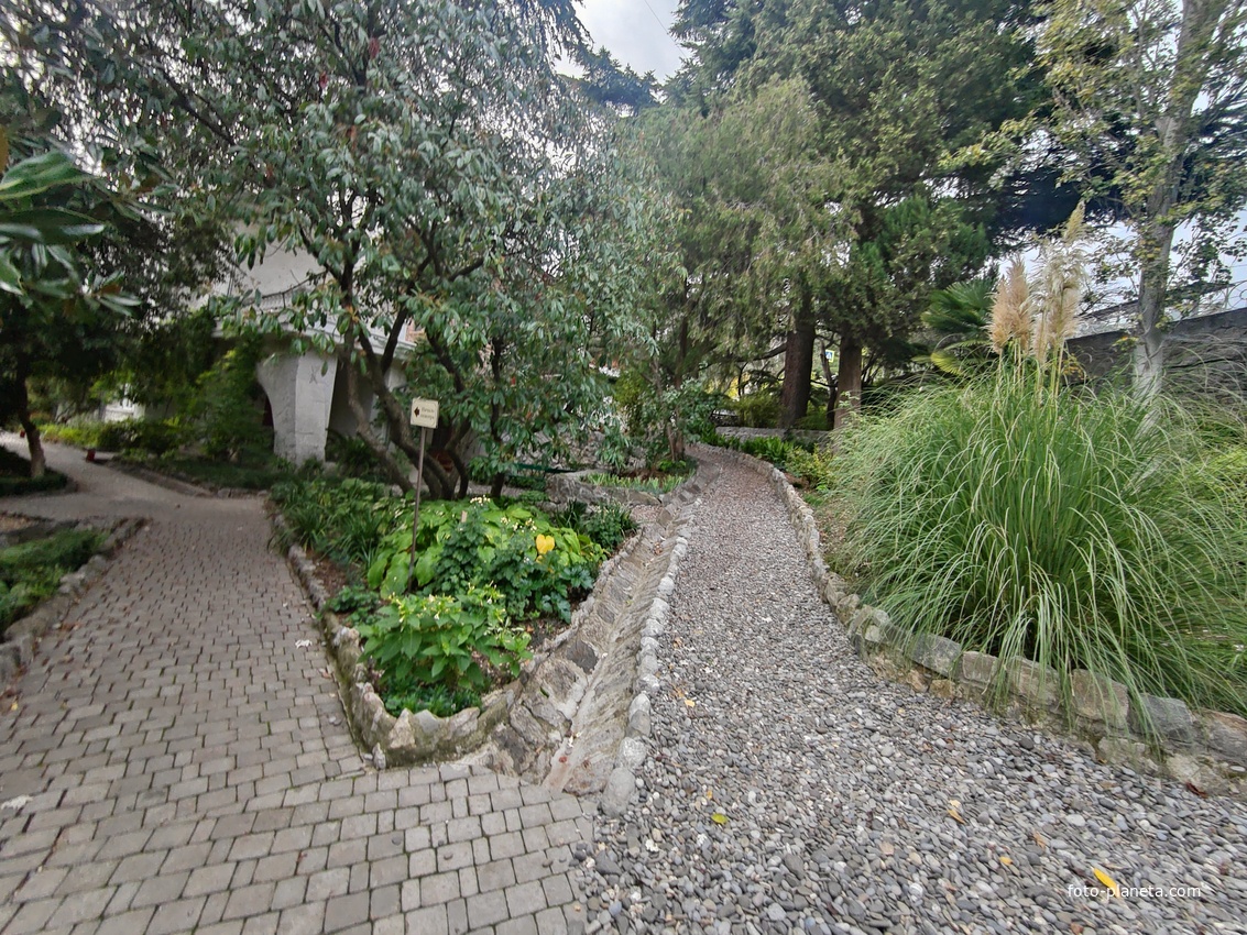 Сад Чехова возле «Белой дачи» - такая же достопримечательность, как и сам дом-музей. Создавался руками писателя, планировавшего его и проектировавшего по своему вкусу и концепции «вечной весны», чтобы почти круглогодично что-то цвело в саду.