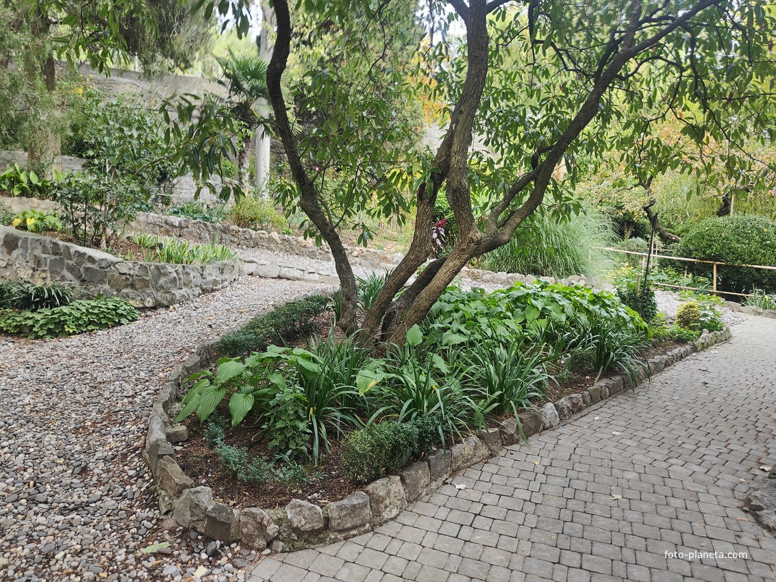 Сад Чехова возле «Белой дачи» - такая же достопримечательность, как и сам дом-музей. Создавался руками писателя, планировавшего его и проектировавшего по своему вкусу и концепции «вечной весны», чтобы почти круглогодично что-то цвело в саду.