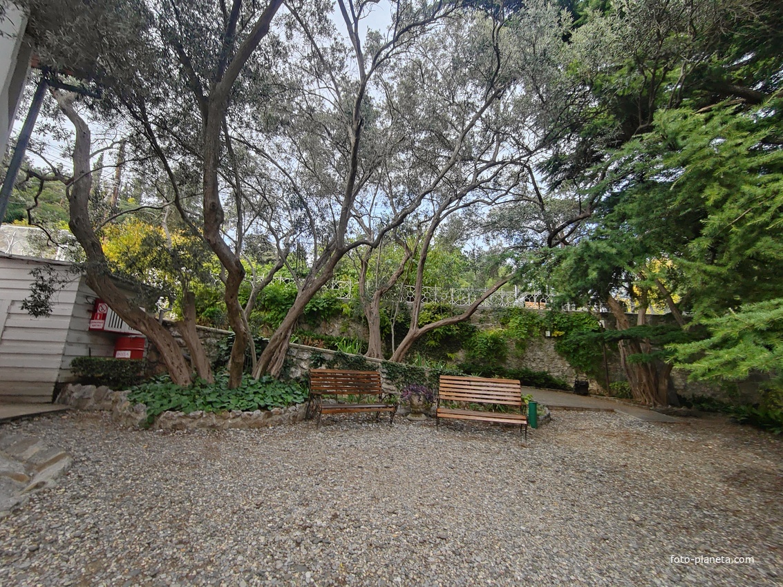 Сад Чехова возле «Белой дачи» - такая же достопримечательность, как и сам дом-музей. Создавался руками писателя, планировавшего его и проектировавшего по своему вкусу и концепции «вечной весны», чтобы почти круглогодично что-то цвело в саду.