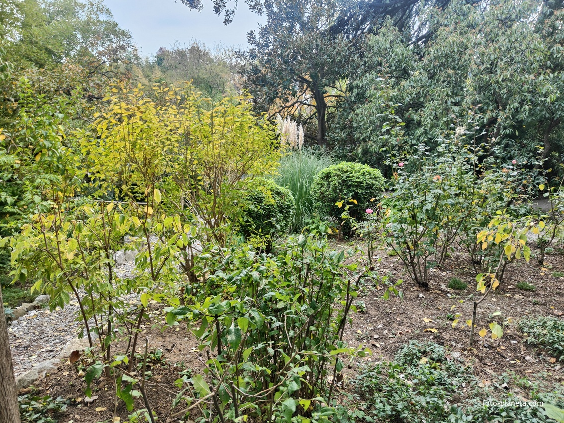 Сад Чехова возле «Белой дачи» - такая же достопримечательность, как и сам дом-музей. Создавался руками писателя, планировавшего его и проектировавшего по своему вкусу и концепции «вечной весны», чтобы почти круглогодично что-то цвело в саду.