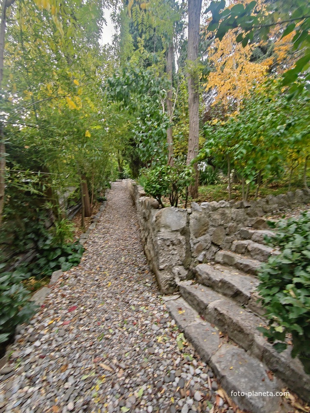 Сад Чехова возле «Белой дачи» - такая же достопримечательность, как и сам дом-музей. Создавался руками писателя, планировавшего его и проектировавшего по своему вкусу и концепции «вечной весны», чтобы почти круглогодично что-то цвело в саду.