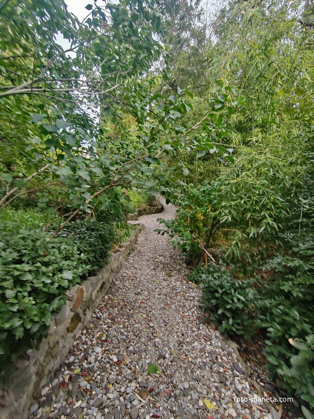 Сад Чехова возле «Белой дачи» - такая же достопримечательность, как и сам дом-музей. Создавался руками писателя, планировавшего его и проектировавшего по своему вкусу и концепции «вечной весны», чтобы почти круглогодично что-то цвело в саду.