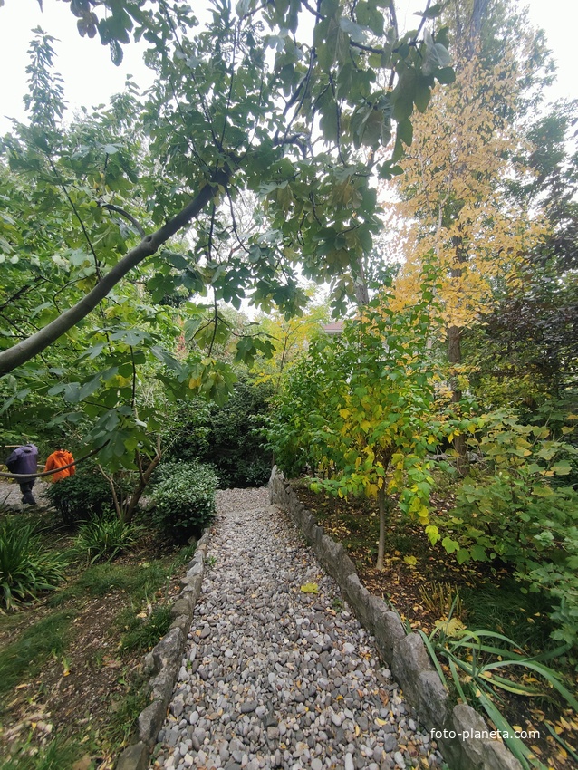 Сад Чехова возле «Белой дачи» - такая же достопримечательность, как и сам дом-музей. Создавался руками писателя, планировавшего его и проектировавшего по своему вкусу и концепции «вечной весны», чтобы почти круглогодично что-то цвело в саду.