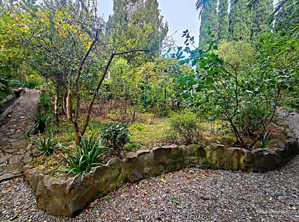 Сад Чехова возле «Белой дачи» - такая же достопримечательность, как и сам дом-музей. Создавался руками писателя, планировавшего его и проектировавшего по своему вкусу и концепции «вечной весны», чтобы почти круглогодично что-то цвело в саду.