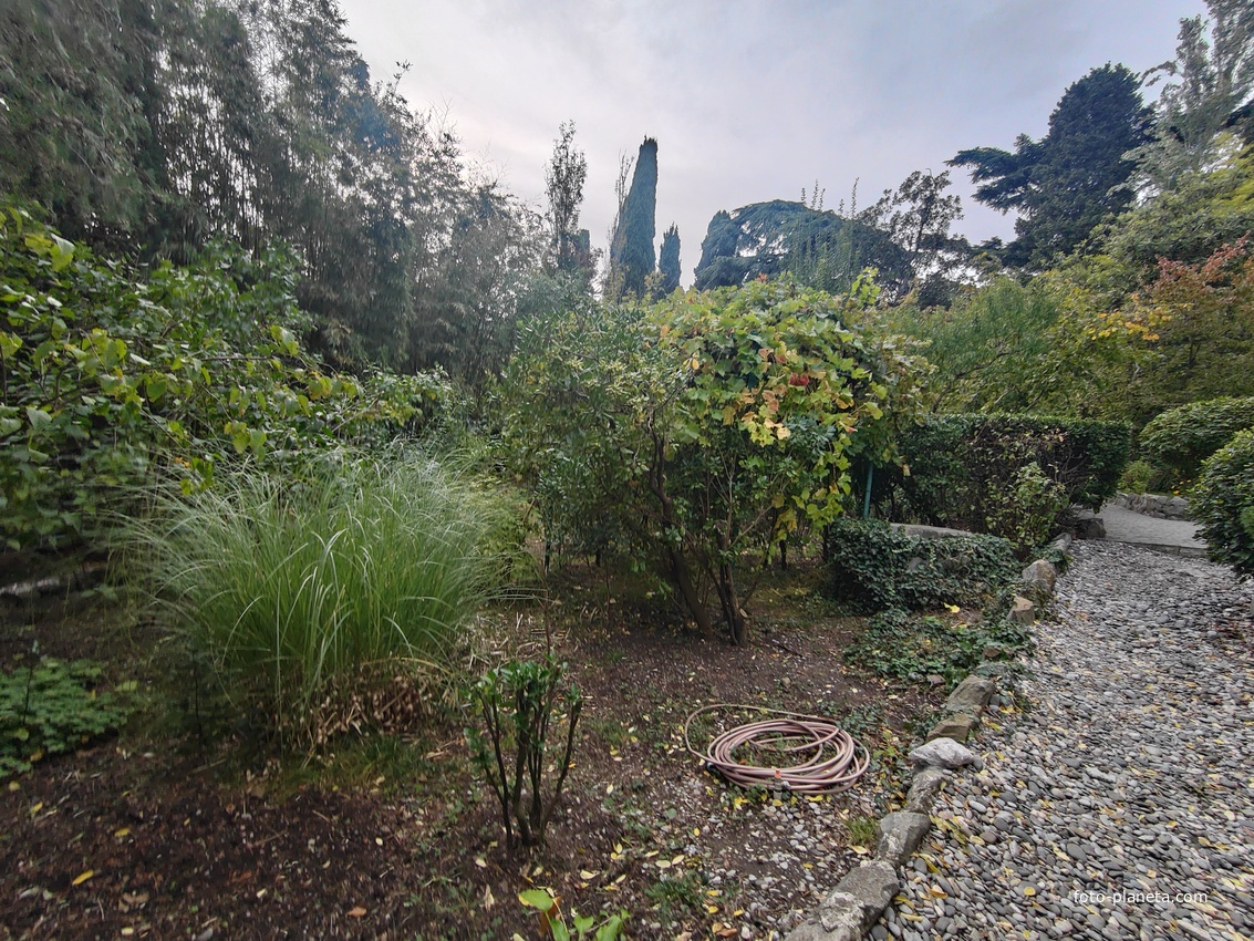 Сад Чехова возле «Белой дачи» - такая же достопримечательность, как и сам дом-музей. Создавался руками писателя, планировавшего его и проектировавшего по своему вкусу и концепции «вечной весны», чтобы почти круглогодично что-то цвело в саду.