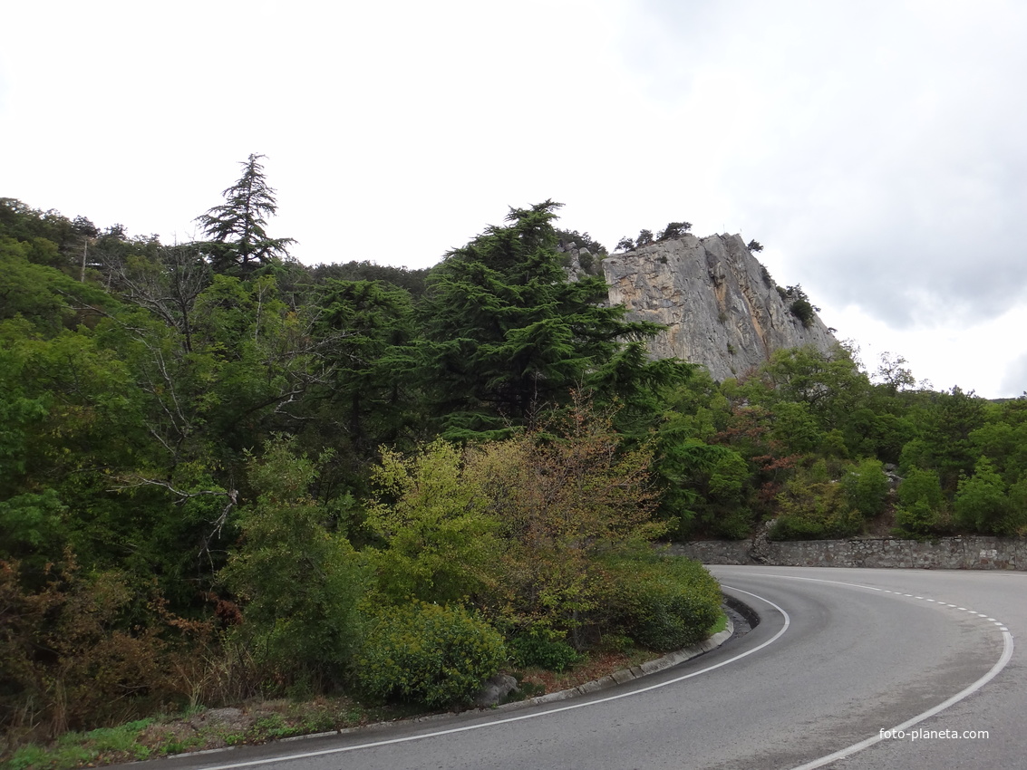 Вдоль Алупкинского шоссе за автобусной остановкой 6КПП перед верхней частью посёлка Ореанда. Впереди гора Ай-Никола.