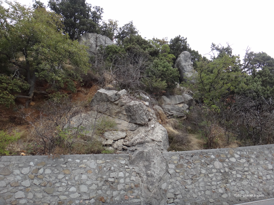 Вдоль Алупкинского шоссе за автобусной остановкой 6КПП перед верхней частью посёлка Ореанда.