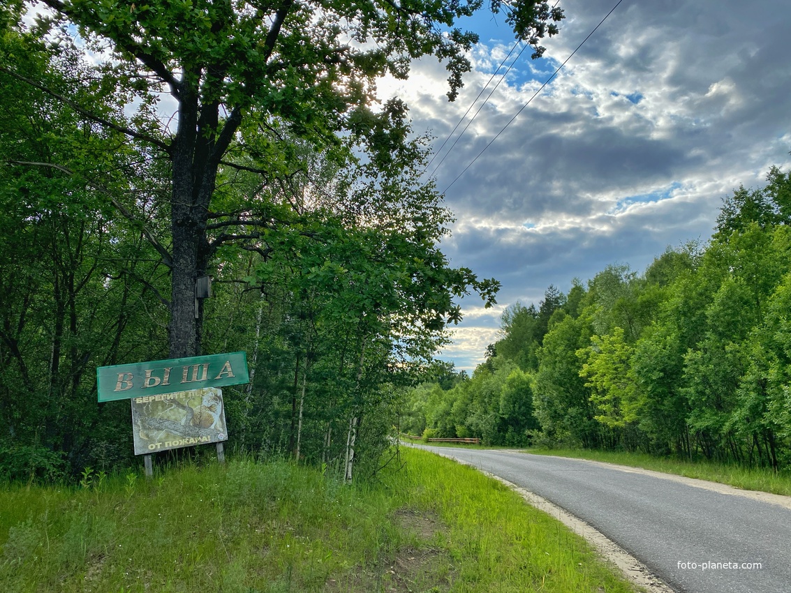 Знак "Выша" 2025 год, Июнь