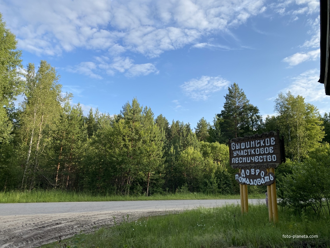 Стелла "Вышинское участковое лесничество" 2025 год, Июнь