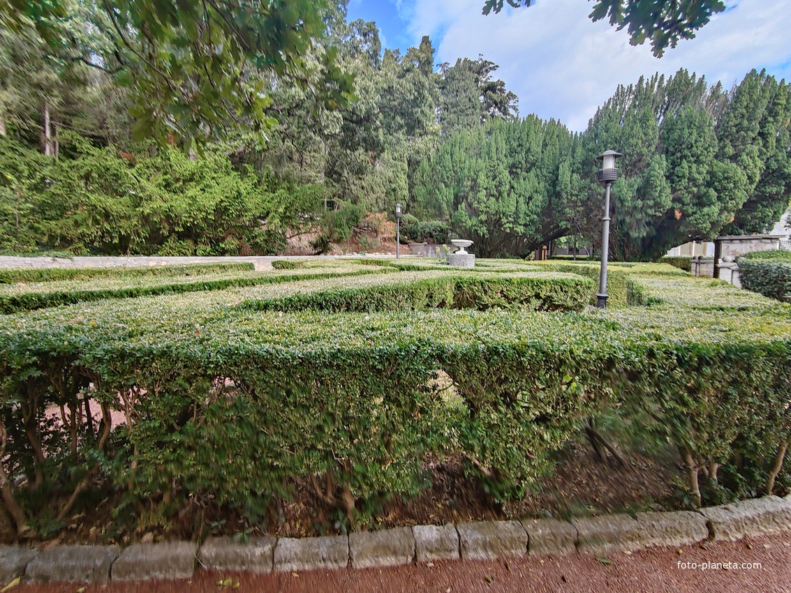 Территория санатория "Днепр" (бывшего дворцово-паркового ансамбля Харакс). Автор финального проекта и дворца и парка - архитектор Николай Петрович Краснов. Первичную структуру парка заложили архитектор М. Котенков и садовник И. Архипов.