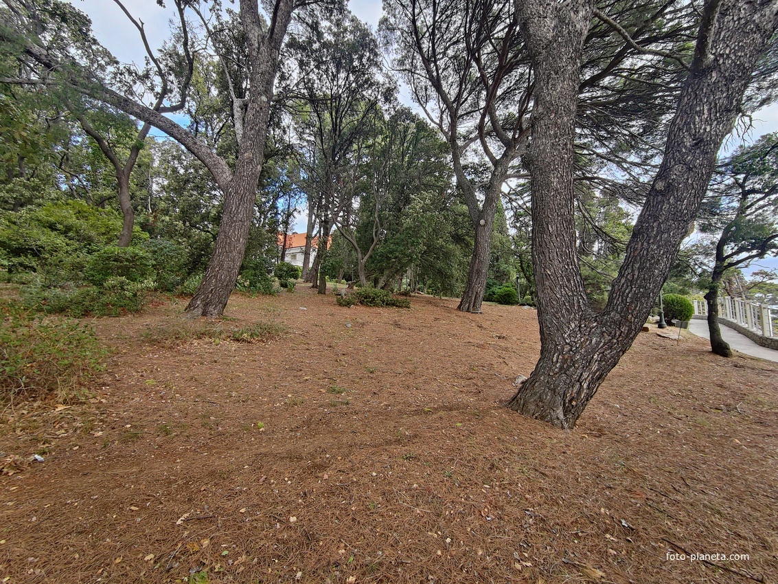 Территория санатория "Днепр" (бывшего дворцово-паркового ансамбля Харакс). Автор финального проекта и дворца и парка - архитектор Николай Петрович Краснов. Первичную структуру парка заложили архитектор М. Котенков и садовник И. Архипов.