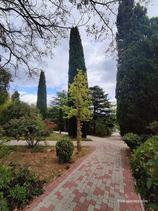 Территория санатория "Днепр" (бывшего дворцово-паркового ансамбля Харакс). Автор финального проекта и дворца и парка - архитектор Николай Петрович Краснов. Первичную структуру парка заложили архитектор М. Котенков и садовник И. Архипов.