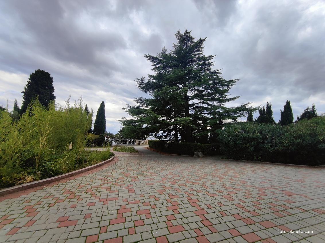 Территория санатория "Днепр" (бывшего дворцово-паркового ансамбля Харакс). Автор финального проекта и дворца и парка - архитектор Николай Петрович Краснов. Первичную структуру парка заложили архитектор М. Котенков и садовник И. Архипов.