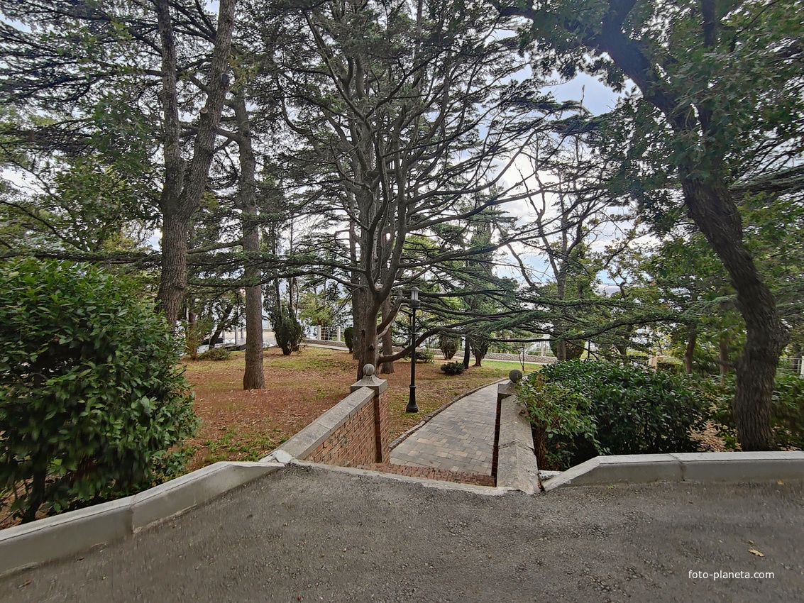 Территория санатория "Днепр" (бывшего дворцово-паркового ансамбля Харакс). Автор финального проекта и дворца и парка - архитектор Николай Петрович Краснов. Первичную структуру парка заложили архитектор М. Котенков и садовник И. Архипов.