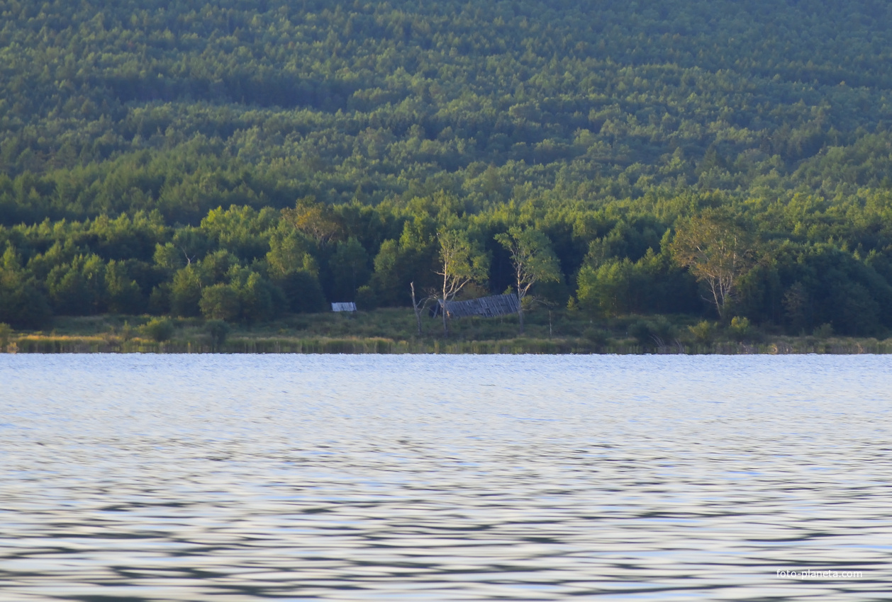 Вид на останки села Тулинского с озера в 2025 году. По состоянию на этот год село практически нежилое.