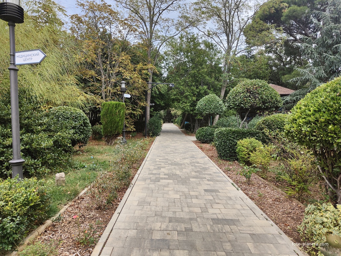 Территория санатория "Днепр" (бывшего дворцово-паркового ансамбля Харакс). Автор финального проекта и дворца и парка - архитектор Николай Петрович Краснов. Первичную структуру парка заложили архитектор М. Котенков и садовник И. Архипов.