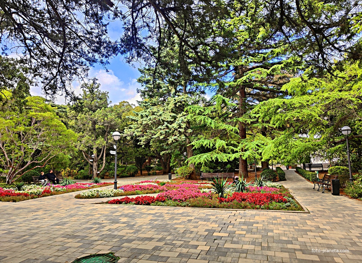 Территория санатория "Днепр" (бывшего дворцово-паркового ансамбля Харакс). Автор финального проекта и дворца и парка - архитектор Николай Петрович Краснов. Первичную структуру парка заложили архитектор М. Котенков и садовник И. Архипов.