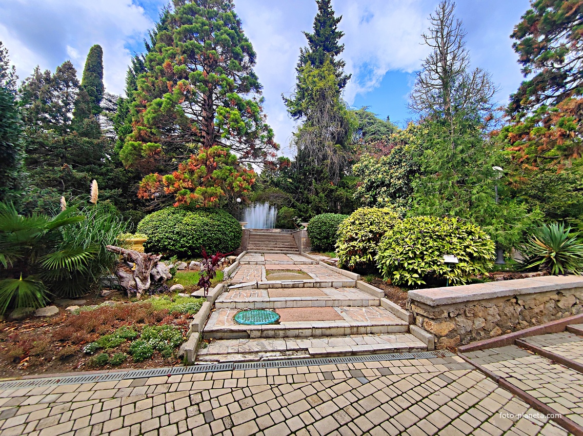 Территория санатория "Днепр" (бывшего дворцово-паркового ансамбля Харакс). Автор финального проекта и дворца и парка - архитектор Николай Петрович Краснов. Первичную структуру парка заложили архитектор М. Котенков и садовник И. Архипов.