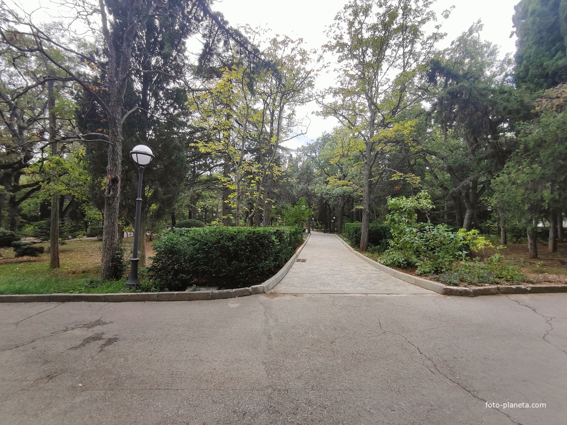 Территория санатория "Днепр" (бывшего дворцово-паркового ансамбля Харакс). Автор финального проекта и дворца и парка - архитектор Николай Петрович Краснов. Первичную структуру парка заложили архитектор М. Котенков и садовник И. Архипов.