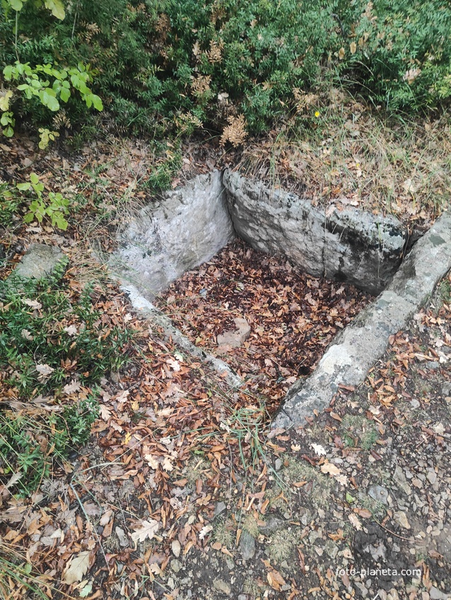 Таврские каменные ящик в конце Царской (солнечной) тропы. Могильник «Гаспра 1» VI-V в. до н.э. на лесистой природной террасе западного склона безымянной возвышенности около пос. Гаспра.