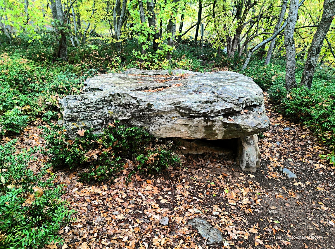 Таврские каменные ящик в конце Царской (солнечной) тропы. Могильник «Гаспра 1» VI-V в. до н.э. на лесистой природной террасе западного склона безымянной возвышенности около пос. Гаспра.