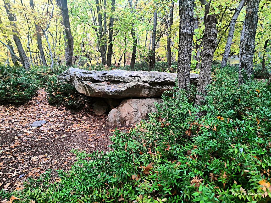 Таврские каменные ящик в конце Царской (солнечной) тропы. Могильник «Гаспра 1» VI-V в. до н.э. на лесистой природной террасе западного склона безымянной возвышенности около пос. Гаспра.