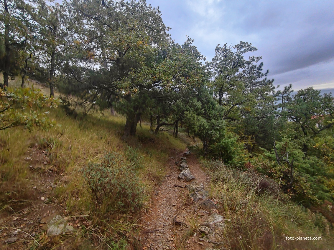 Тропа к посёлку Гаспра от Царской  (солнечной тропы).