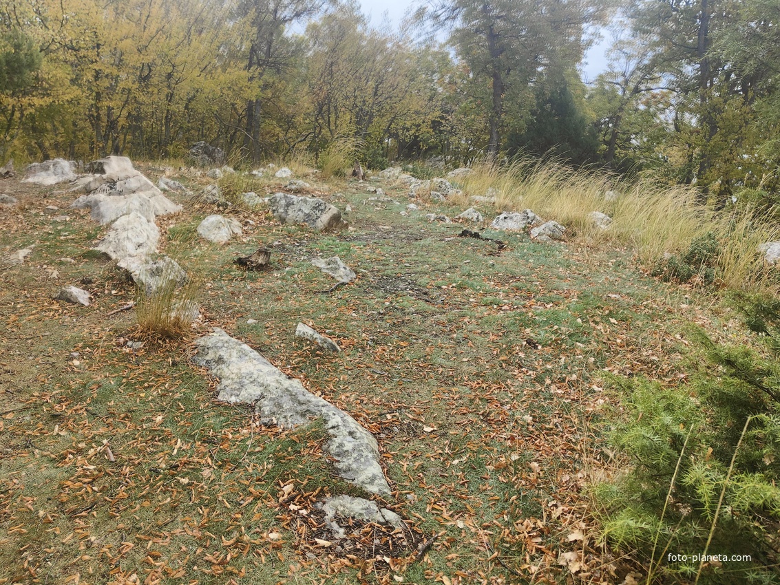Вдоль тропы от Царской (солнечной тропы) к "Признанию в любви на глыбах Гаспринского камня".