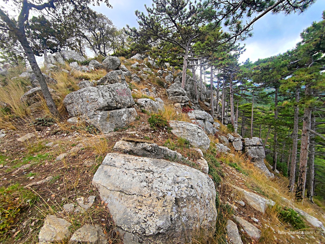 Тропа от Стройгородка вверх к скальному выступу над одним из обрывов южного склона горного массива Могаби.