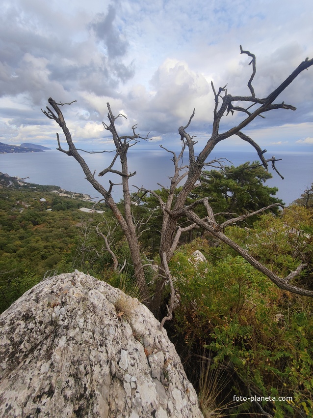 Скальный выступ над одним из обрывов южного склона горного массива Могаби у Стройгородка. Вид на горно-лесистую территорию, побережье к В от Стройгородка.
