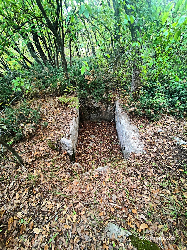 Таврские каменнные ящики около Стройгородка.