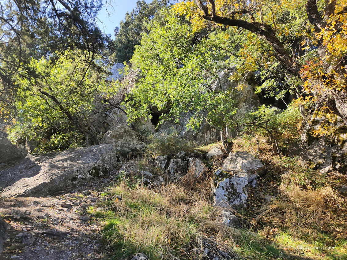 На горе Урьянда (Крестовая).