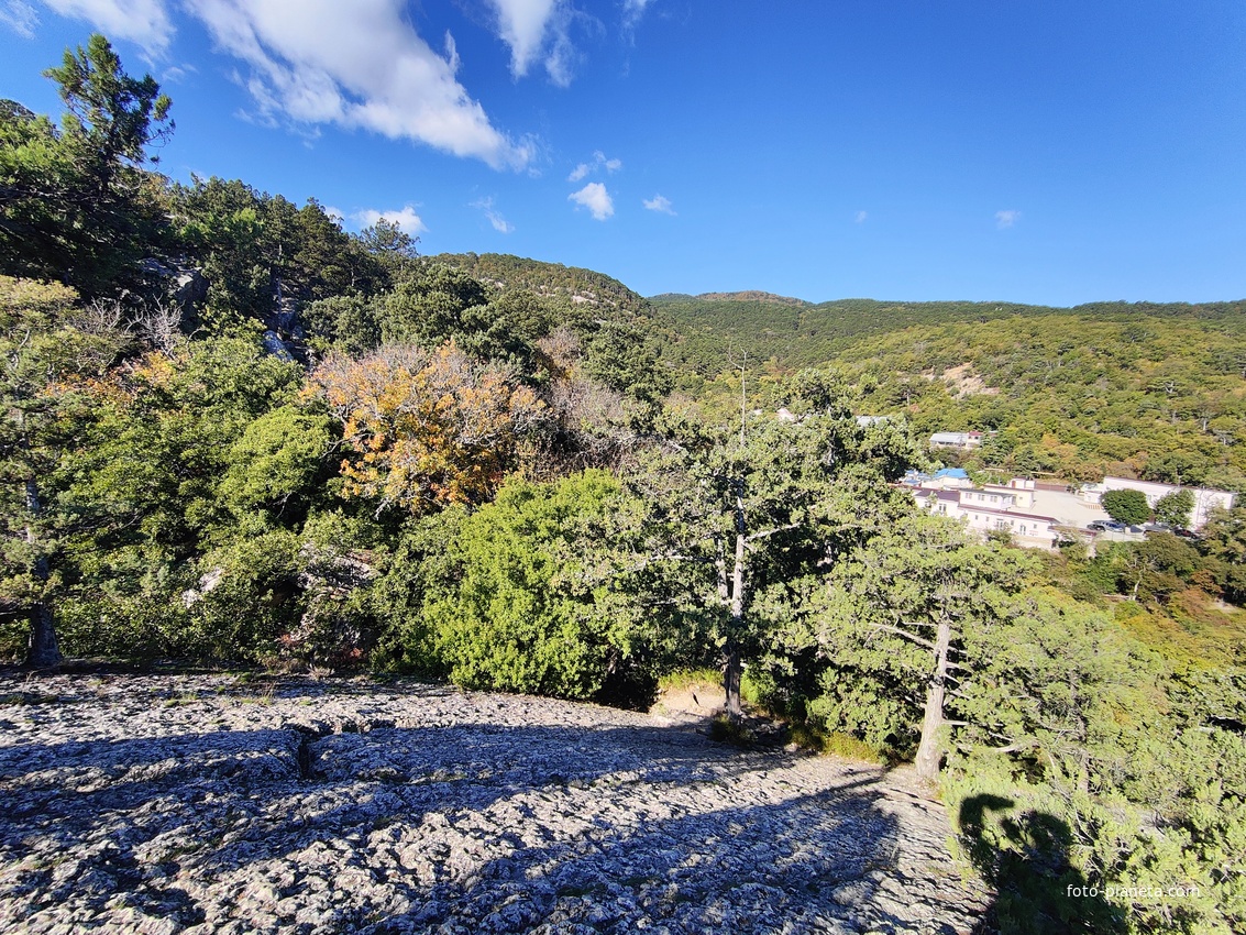 На горе Урьянда (Крестовая).  Вид на горные заросли и застройку посёлка.